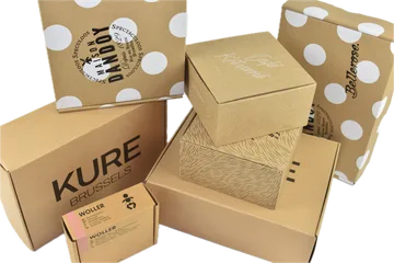 Експрес доставка Коробки  Zwijnaarde BE